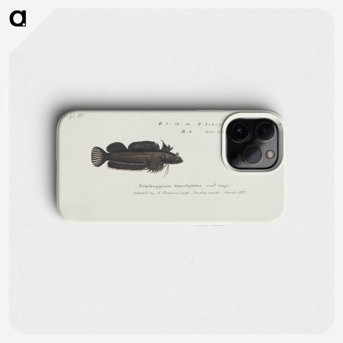 2-15_Frank-Edward-Clarke_phone