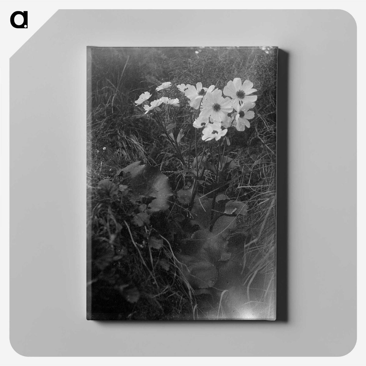 2-15_Frederick-Charles-Brockett_canvas