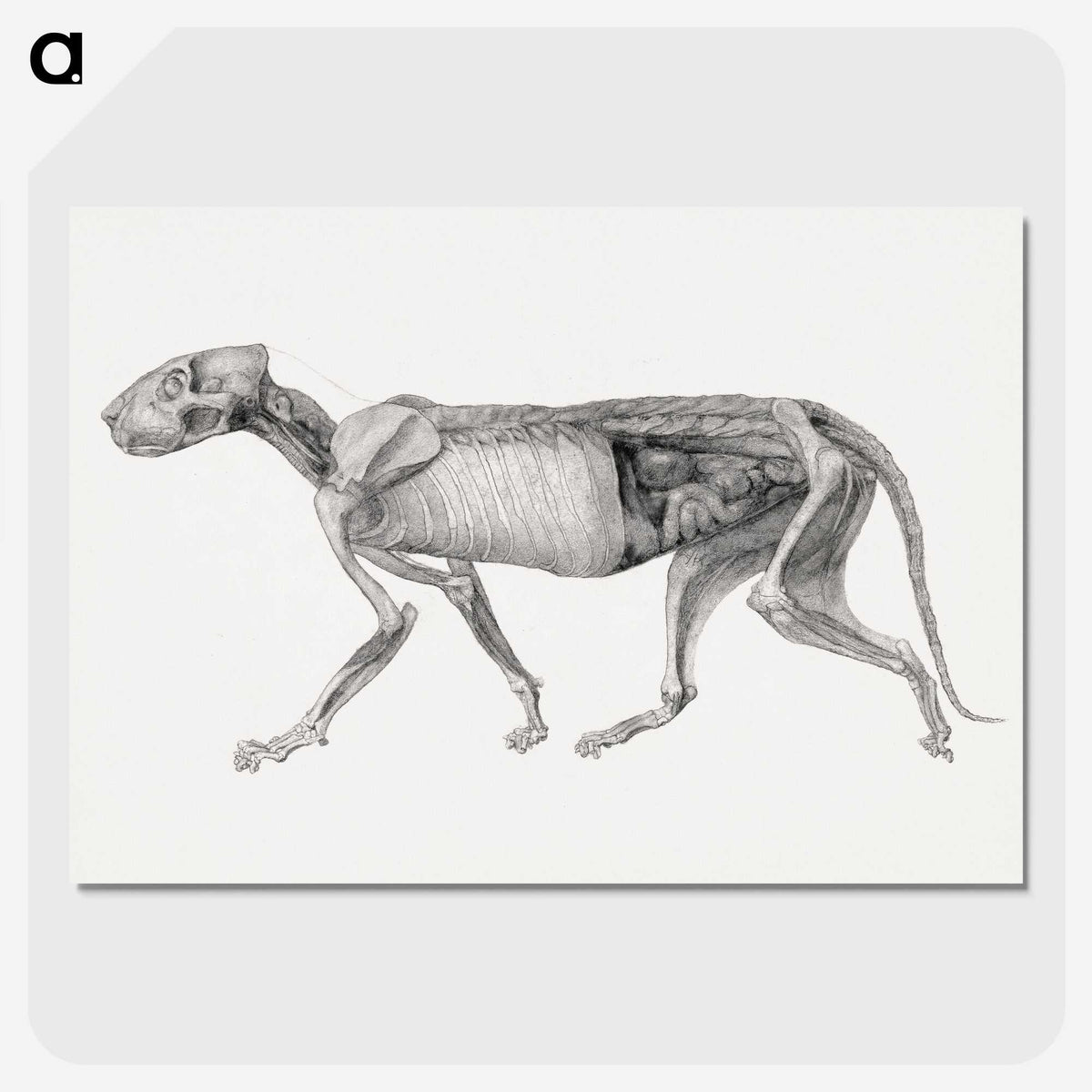 2-15_George-Stubbs_picture-crop