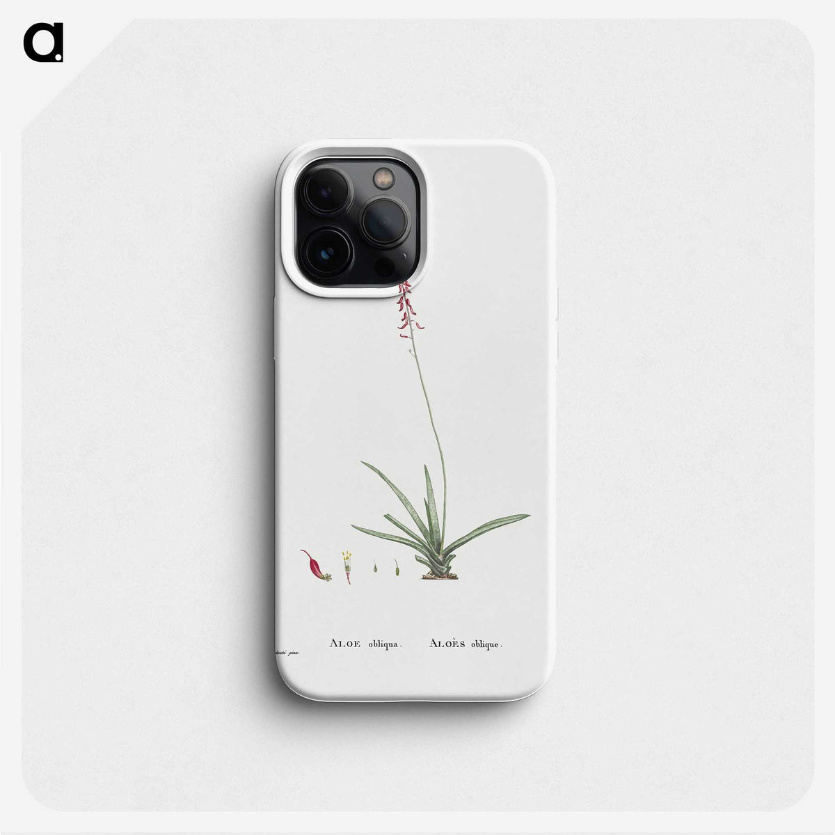2-15_Histoire-des-Plantes-Grasses_phone