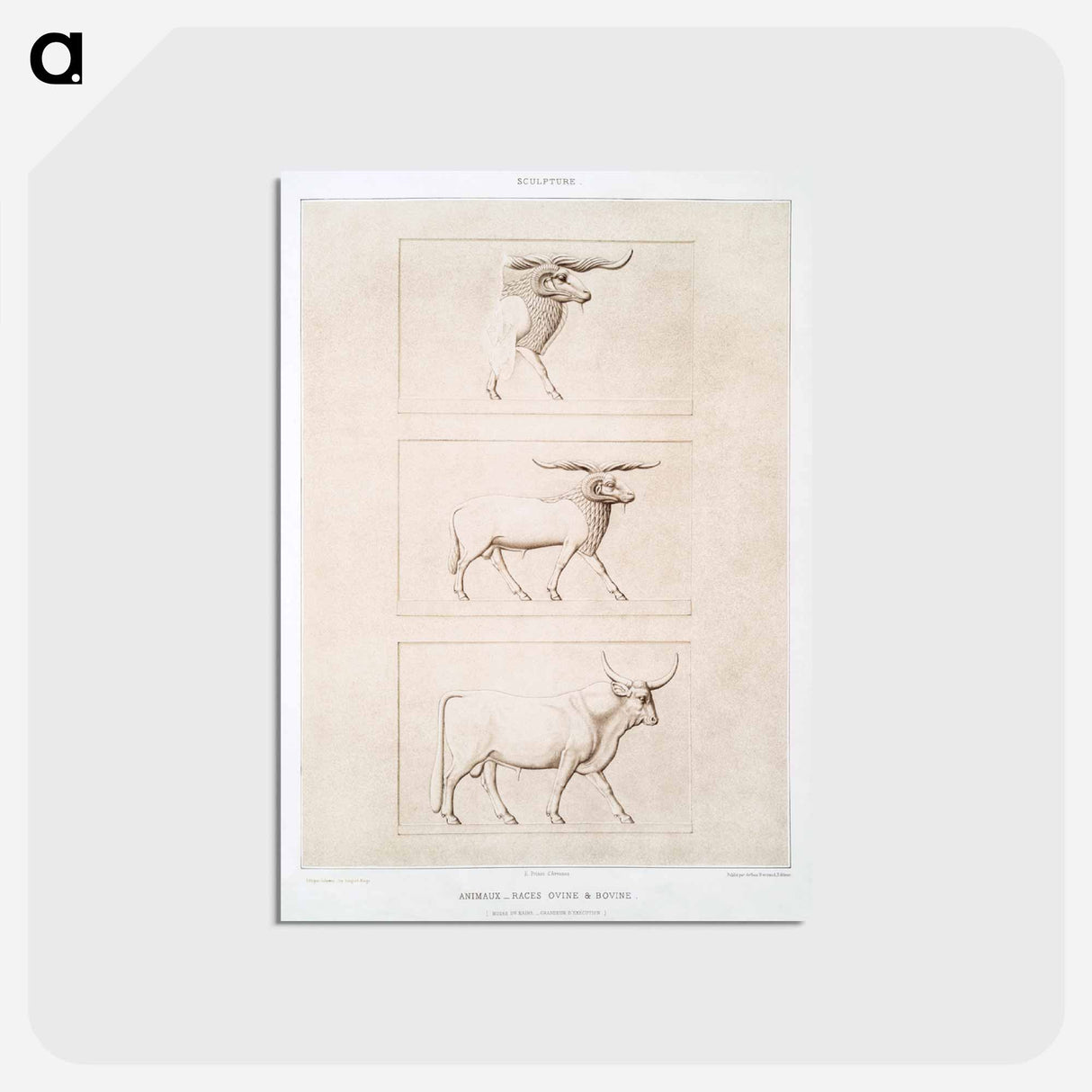 アートポストカード-Sheep & Cattle Breeds
- エジプト美術史 Postcard.
