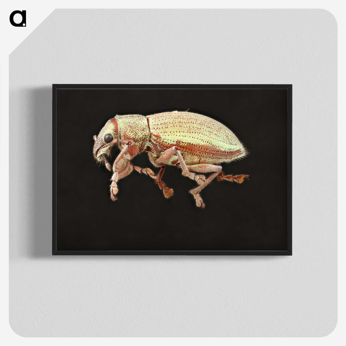 2-15_Insects-Unlocked-Project_blk-crop