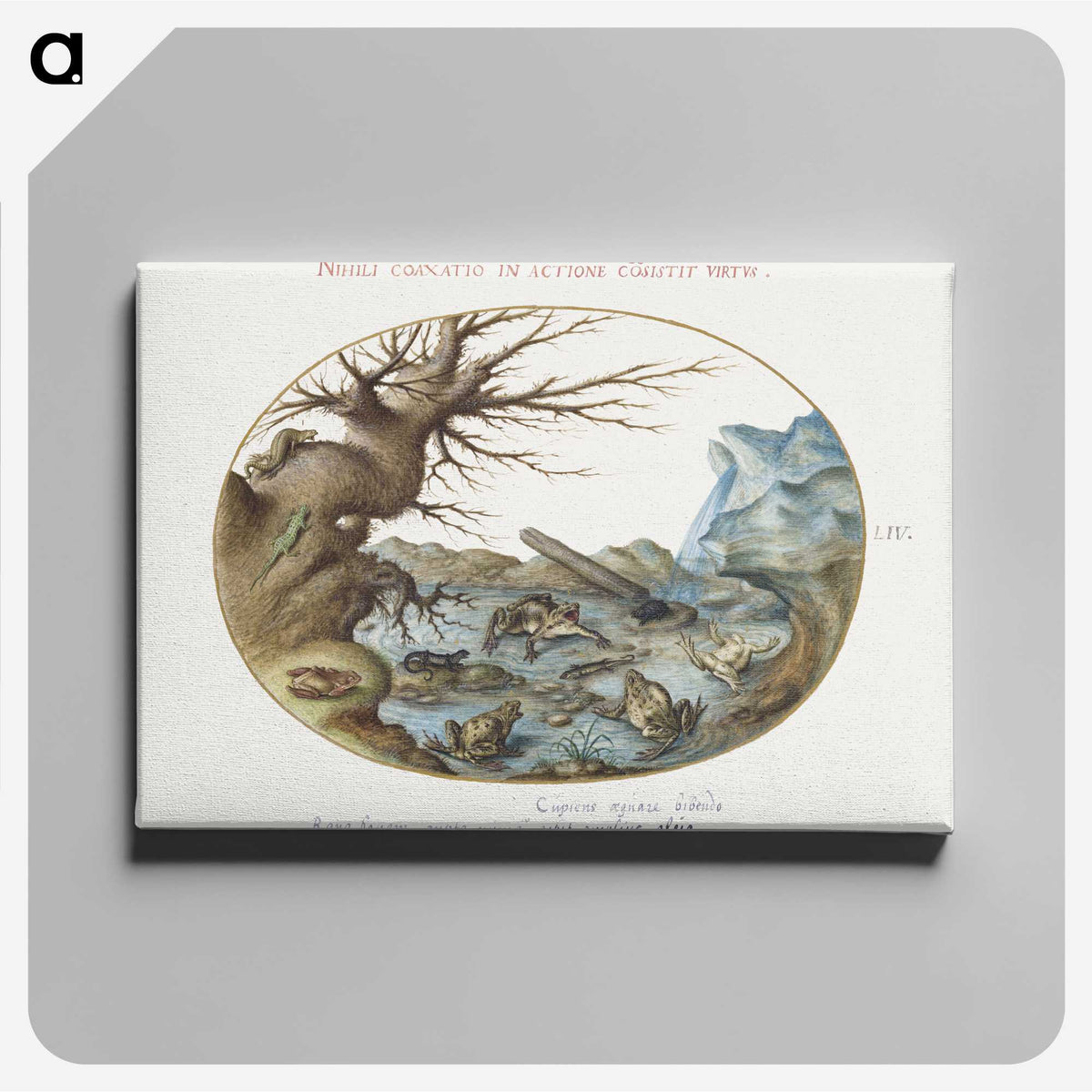 2-15_Joris-Hoefnagel_canvas