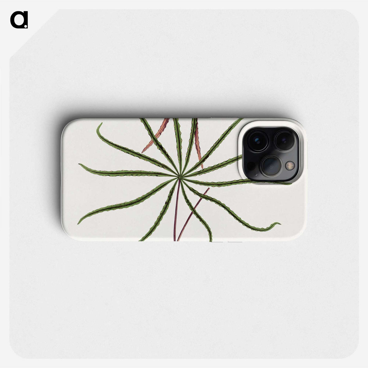 2-15_Plants-with-Colored-Foliage_phone