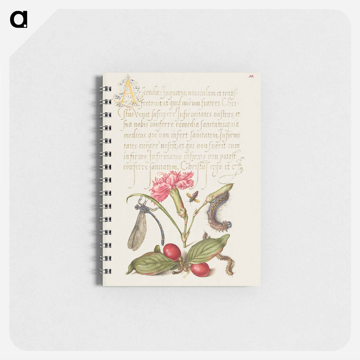 アートメモ帳-Damselfly, Carnation, Firebug, Caterpillar, Carnelian Cherry, and Centipede from Mira Calligraphiae Monumenta
- 書道のお手本 Memo.