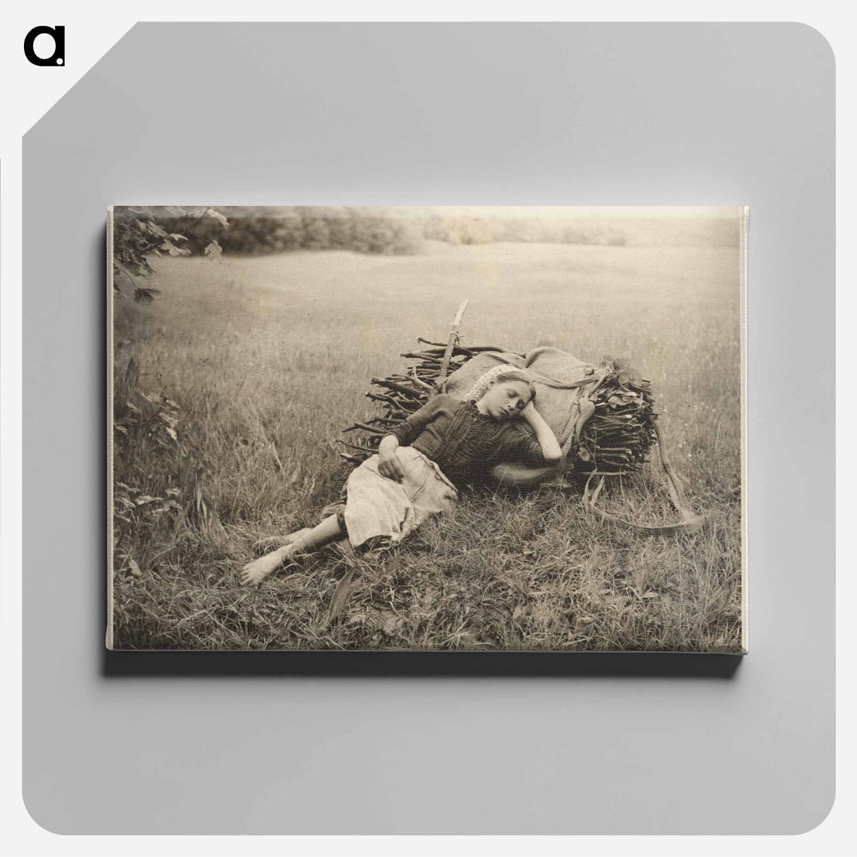 Weary - アルフレッド スティーグリッツ Canvas.