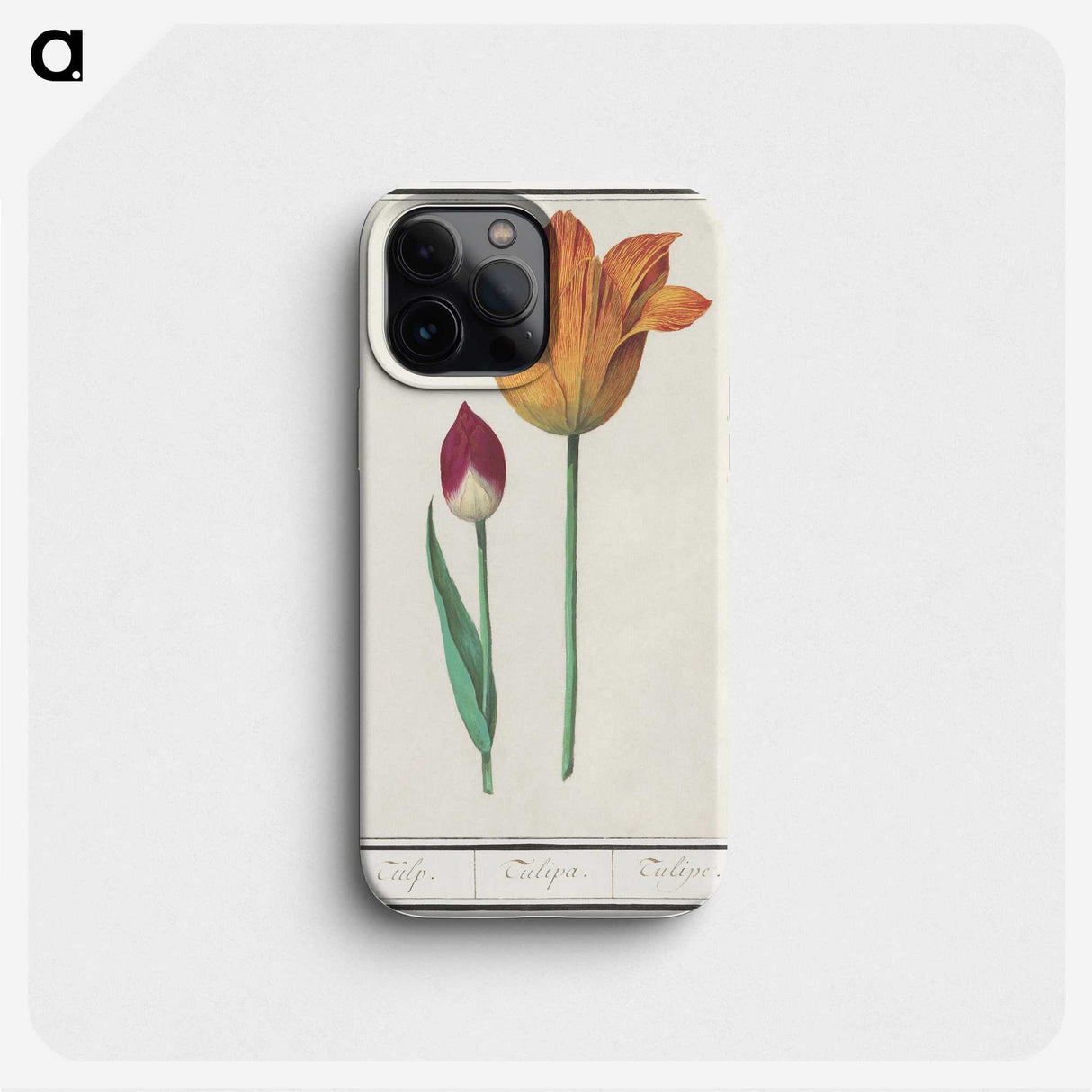 2-16_Anselmus-Boetius-de-Boodt_phone