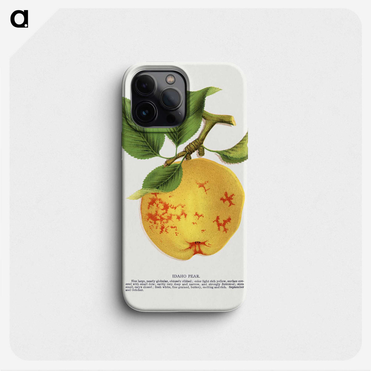 2-16_Botanical-Specimen-Plates_phone