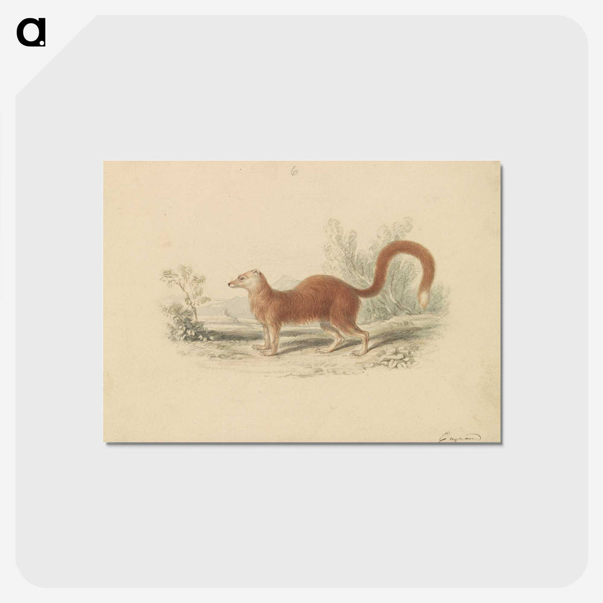 2-16_Charles-Hamilton-Smith_postcard