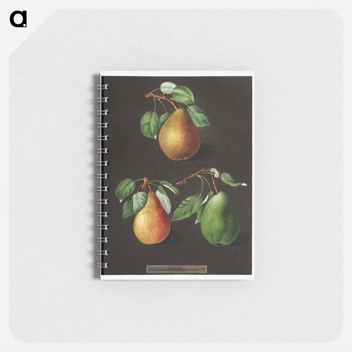 アートメモ帳-Pears
- クリーブランド美術館 Memo.