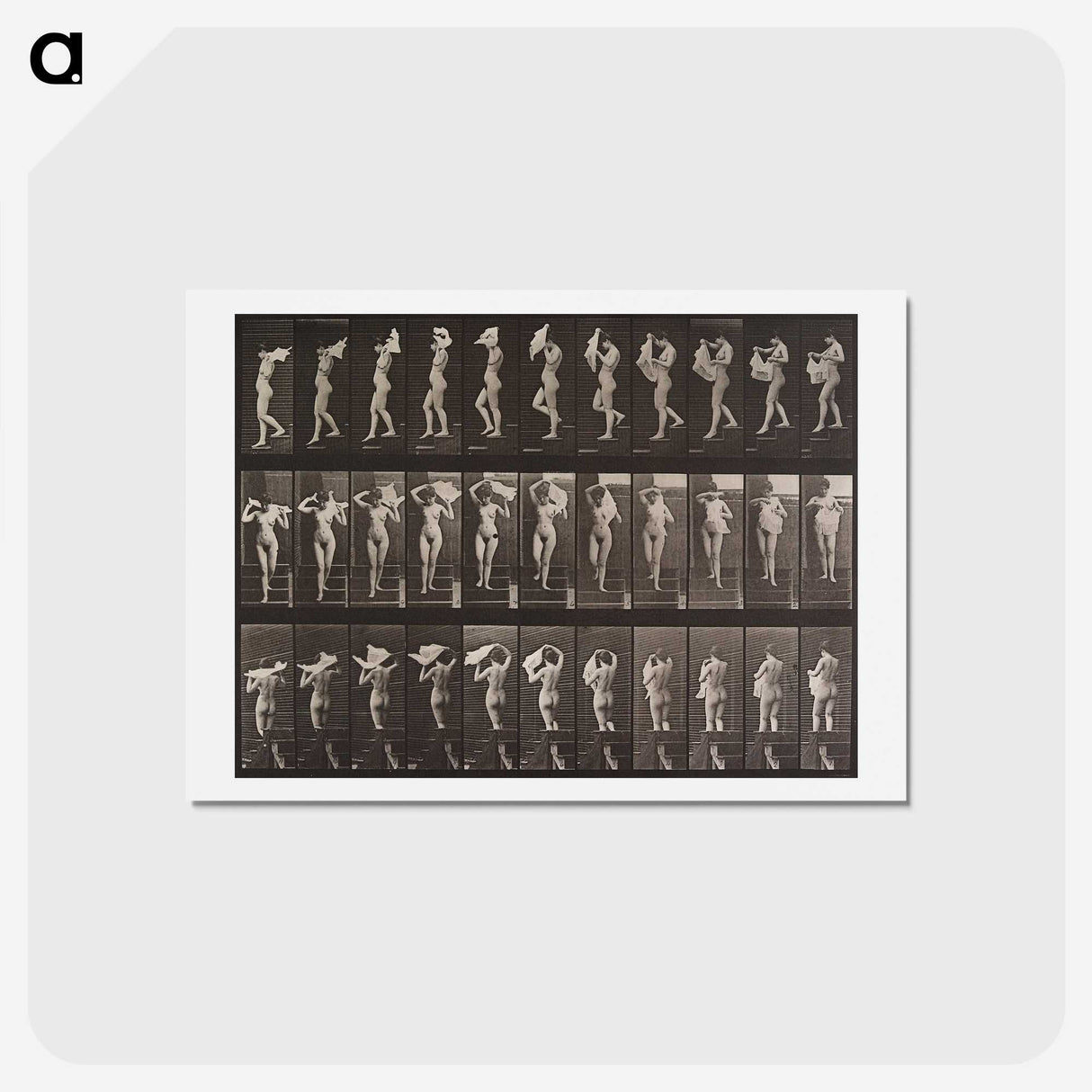 2-16_Eadweard-Muybridge_hagaki