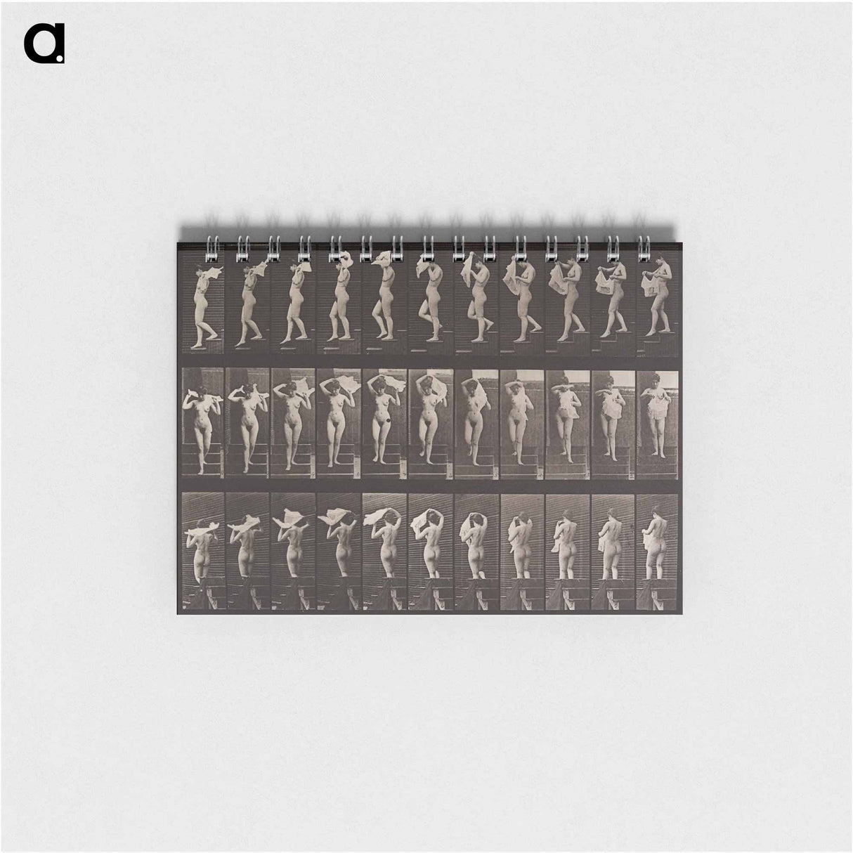 アートメモ帳-Animal Locomotion Plate 133
- エドワード マイブリッジ Memo.