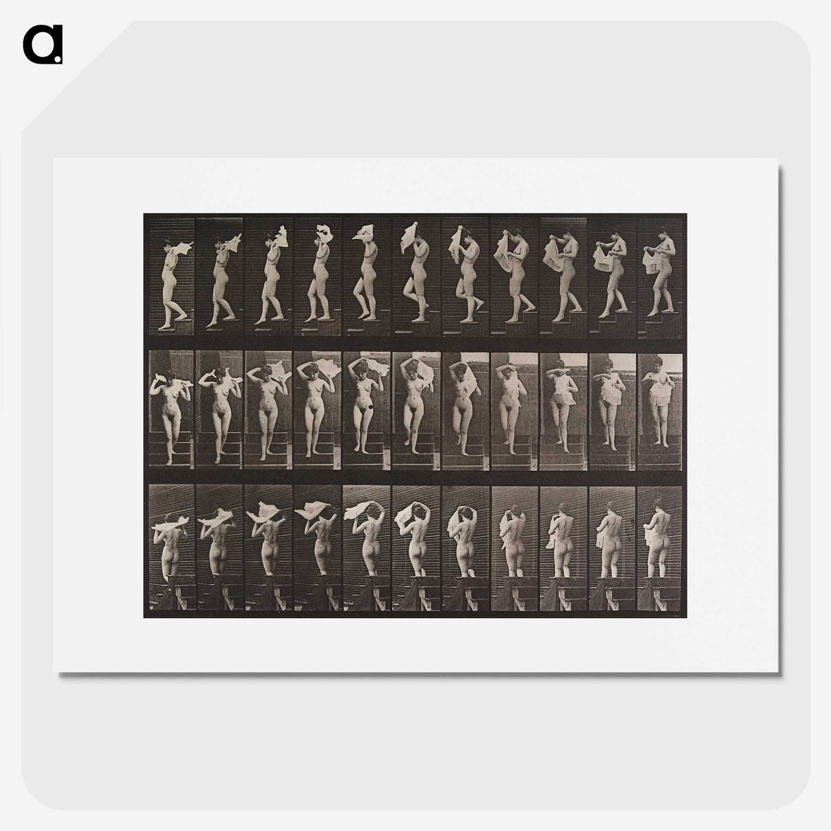 2-16_Eadweard-Muybridge_picture