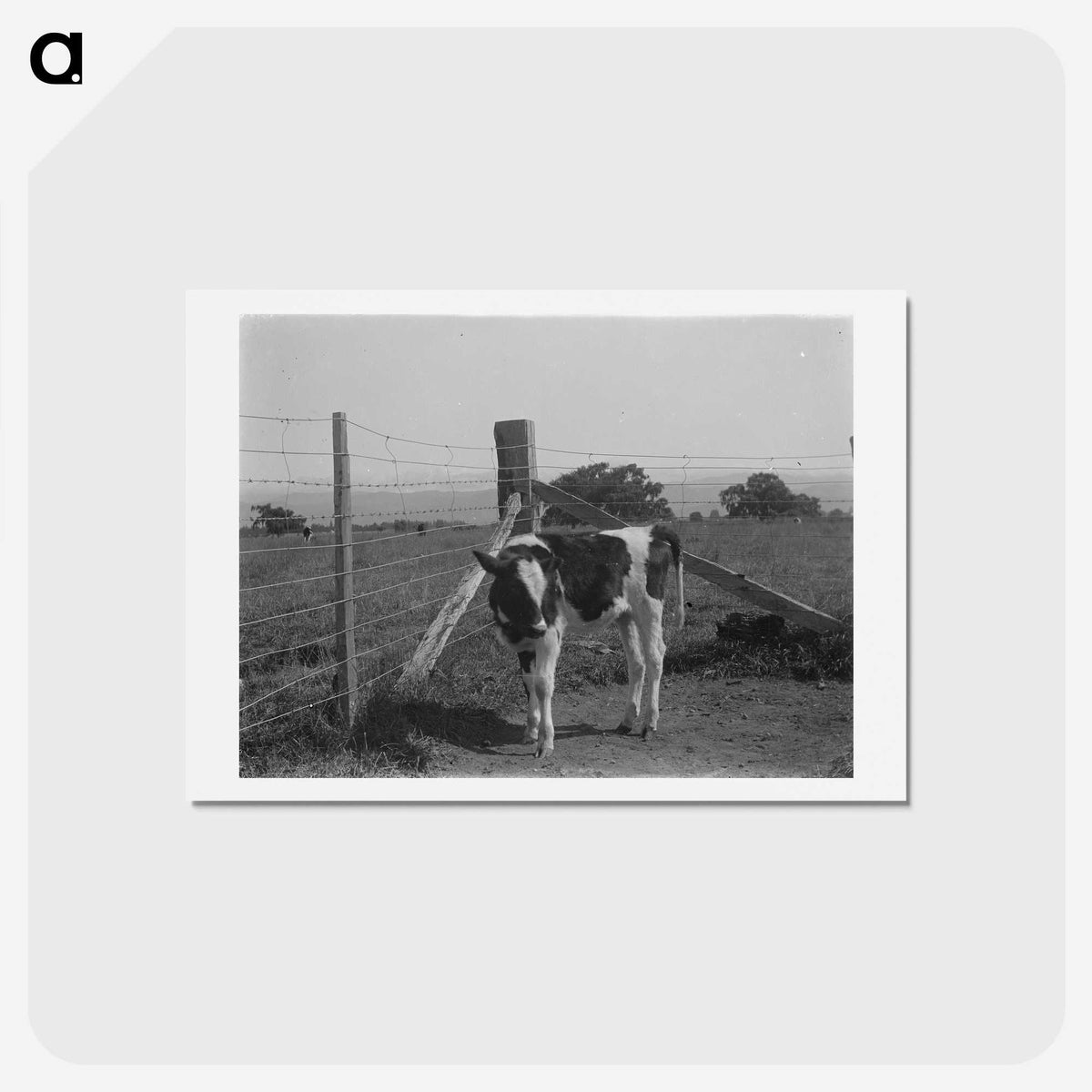 2-16_Frederick-Charles-Brockett_hagaki