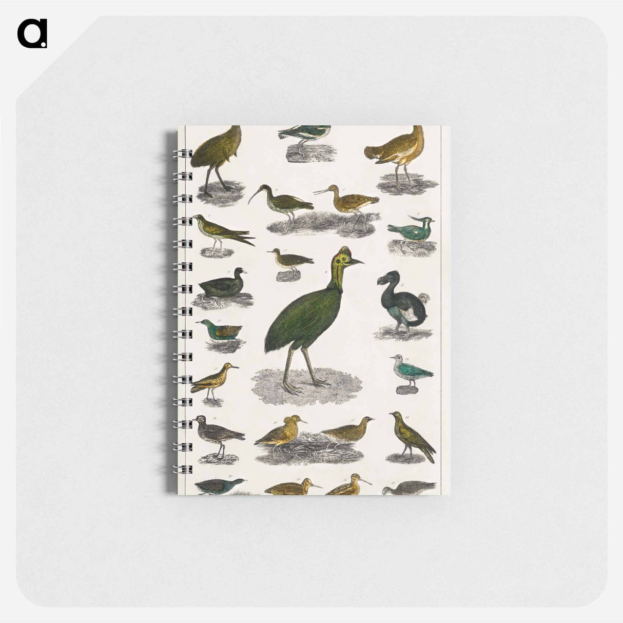 アートメモ帳-Birds from Animated Nature
- ゴールドスミスの生き生きとした自然 Memo.