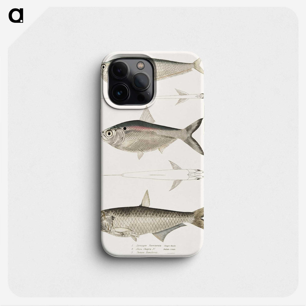 2-16_Indian-Zoology_phone