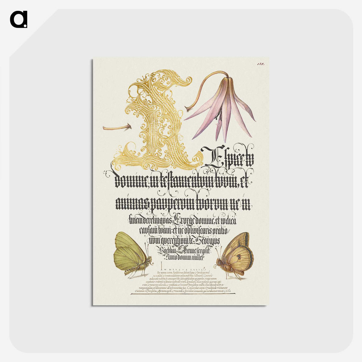 2-16_Joris-Hoefnagel_postcard