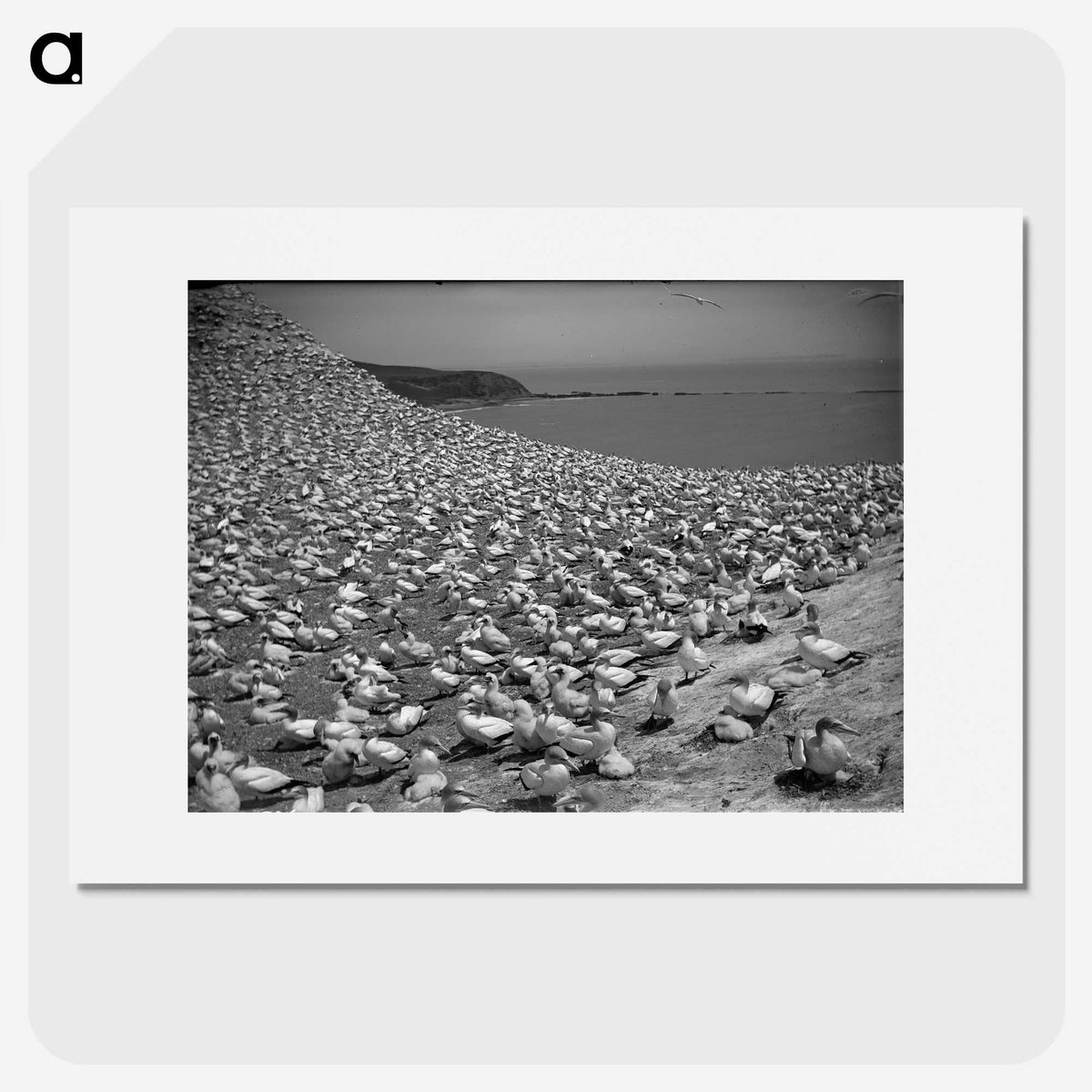 2-16_Leslie-Adkin_picture