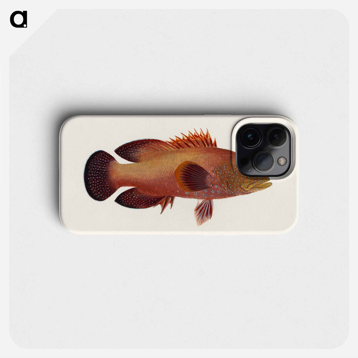 Fish
- ルイージ バルガーニ Phone Case.