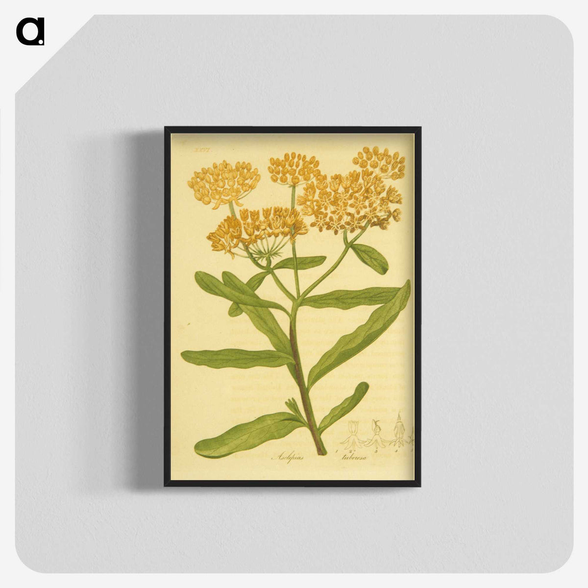 2-16_National-Library-of-Medicine_blk-crop