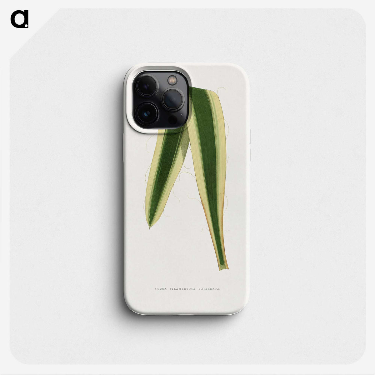 2-16_Plants-with-Colored-Foliage_phone