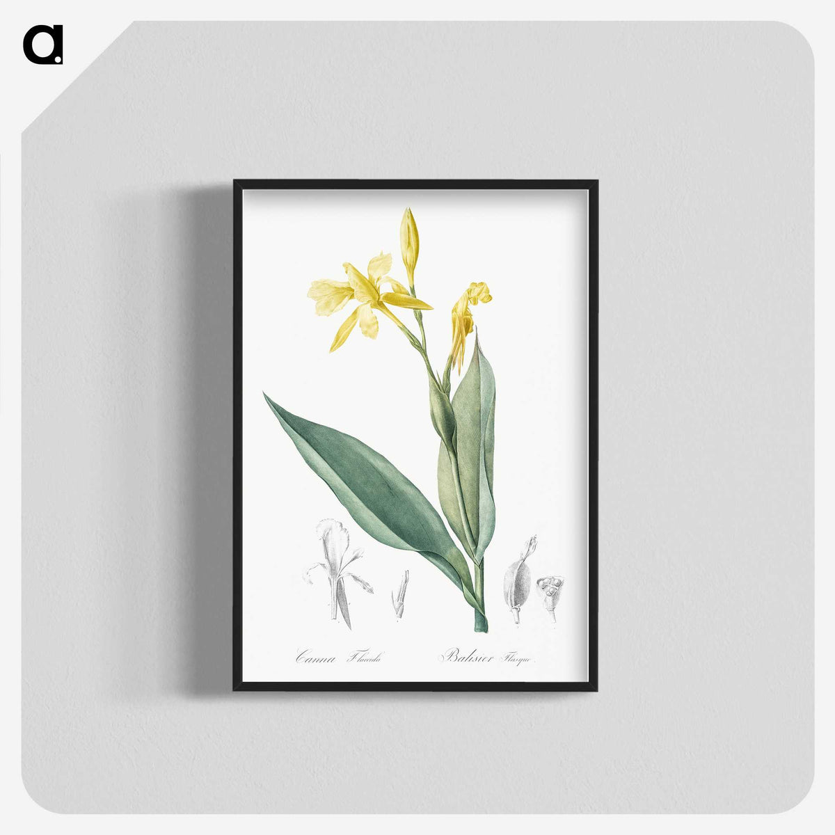 2-16_The-Lilies_blk-crop