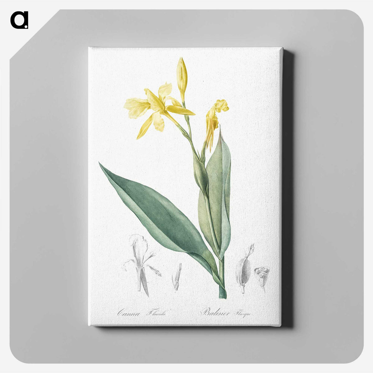 2-16_The-Lilies_canvas