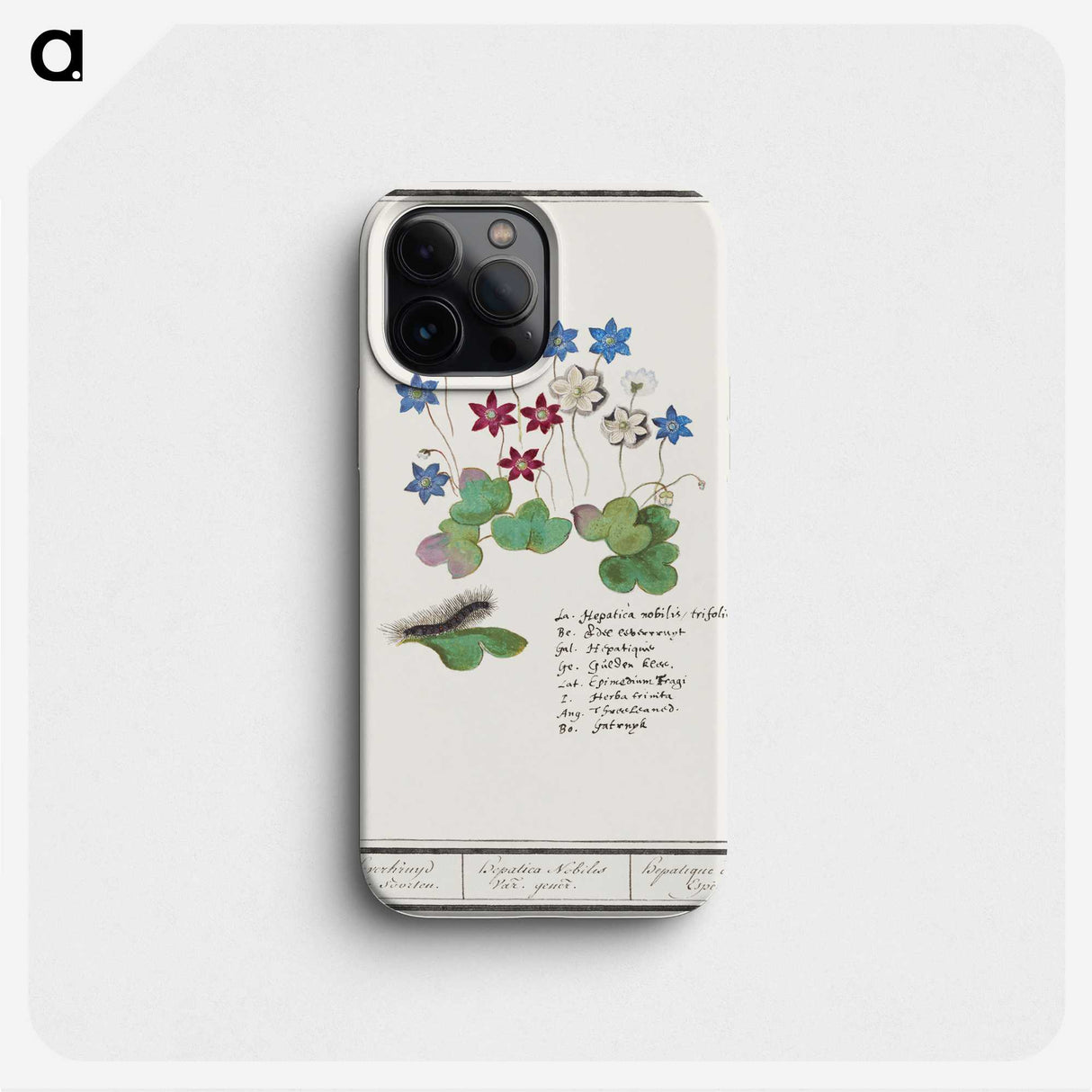 2-17_Anselmus-Boetius-de-Boodt_phone