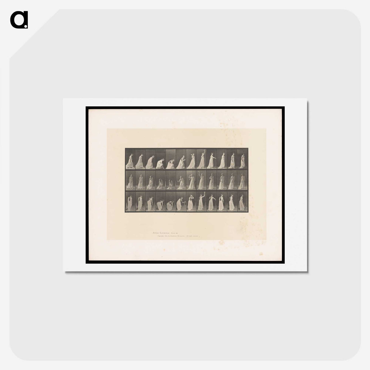 2-17_Eadweard-Muybridge_hagaki