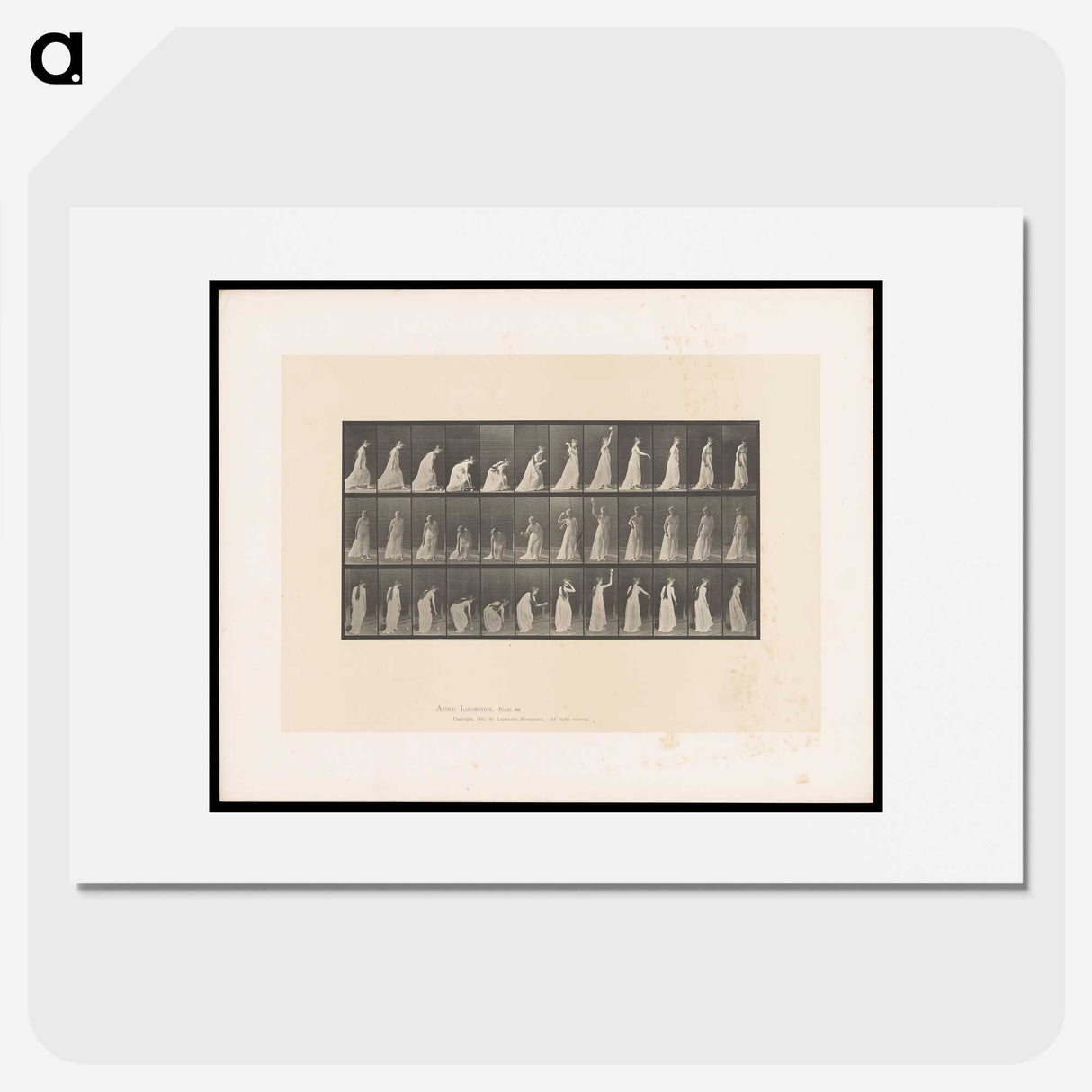 2-17_Eadweard-Muybridge_picture
