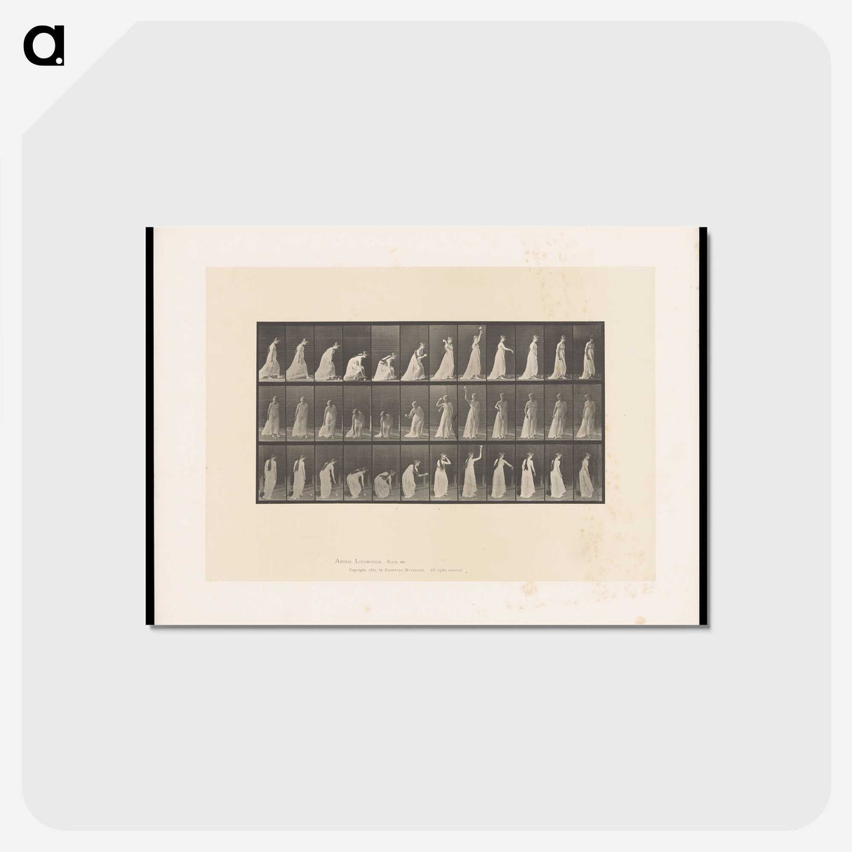 2-17_Eadweard-Muybridge_postcard