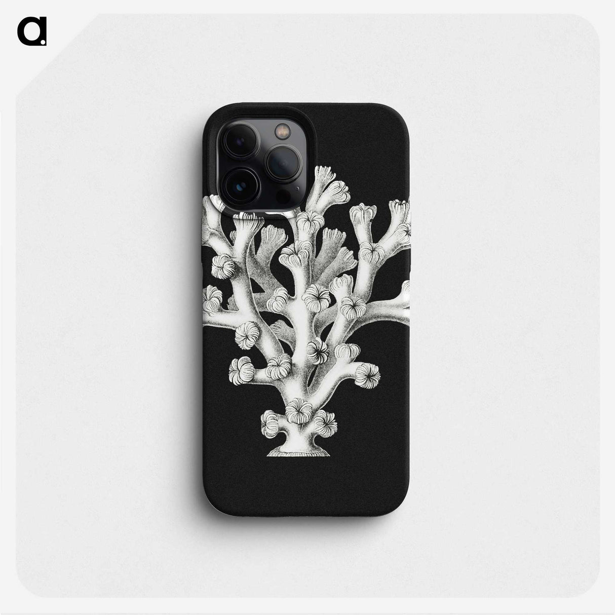 2-17_Ernst-Haeckel_phone