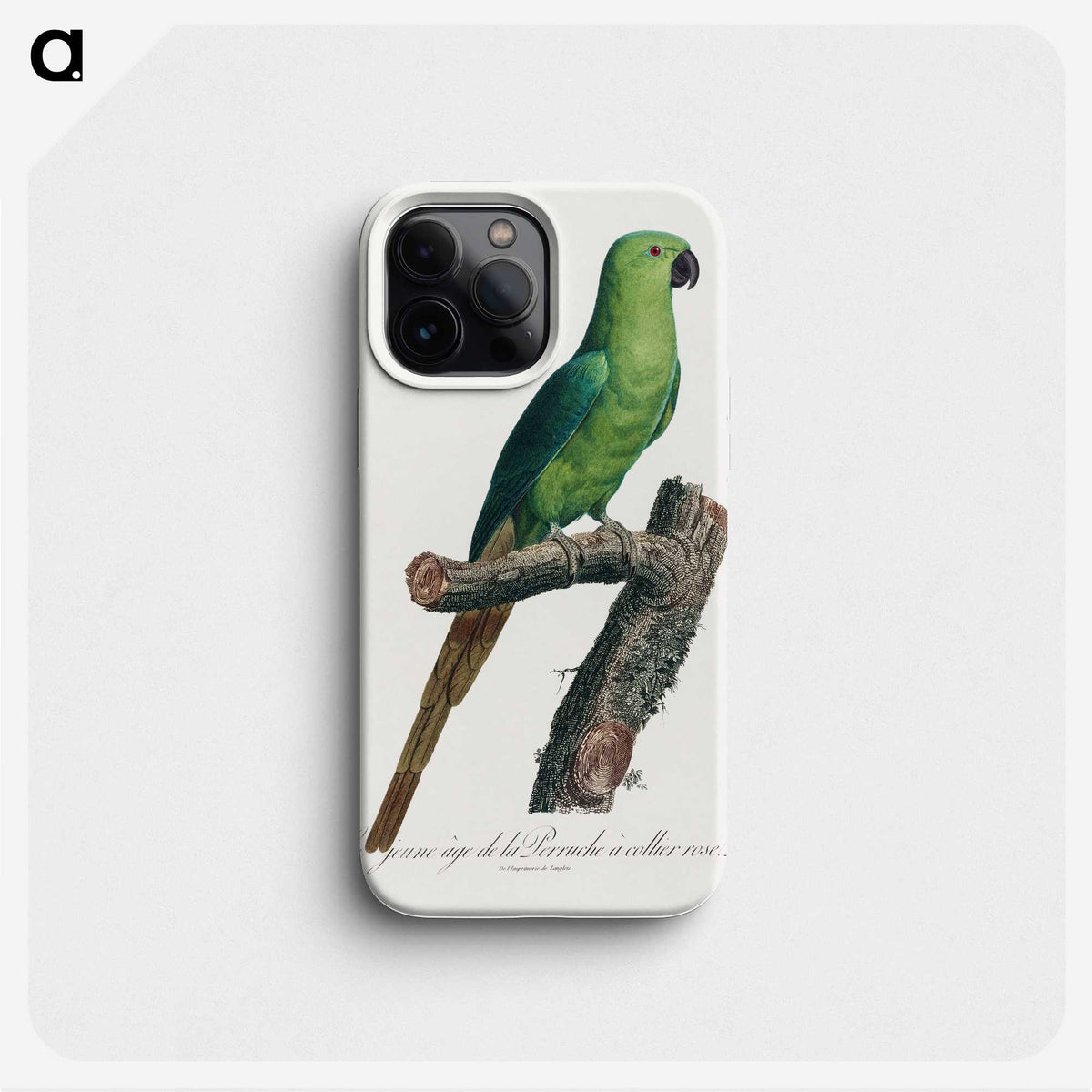 2-17_Francois-Levaillant_phone