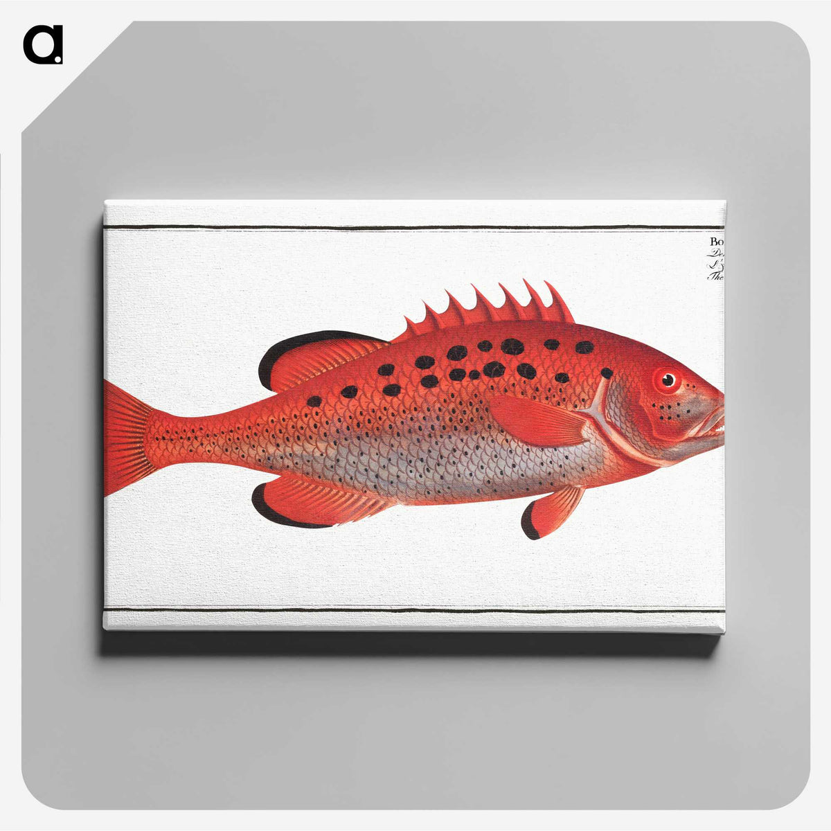 2-17_Ichtyologie-ou-Histoire-naturelle_canvas