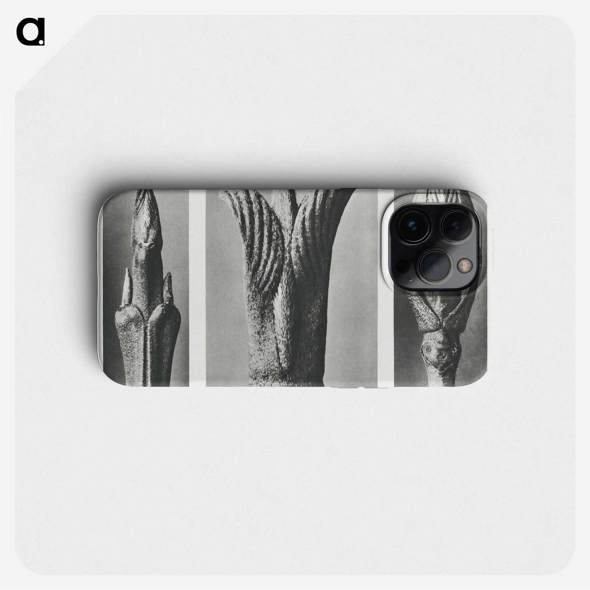 2-17_Karl-Blossfeldt_phone