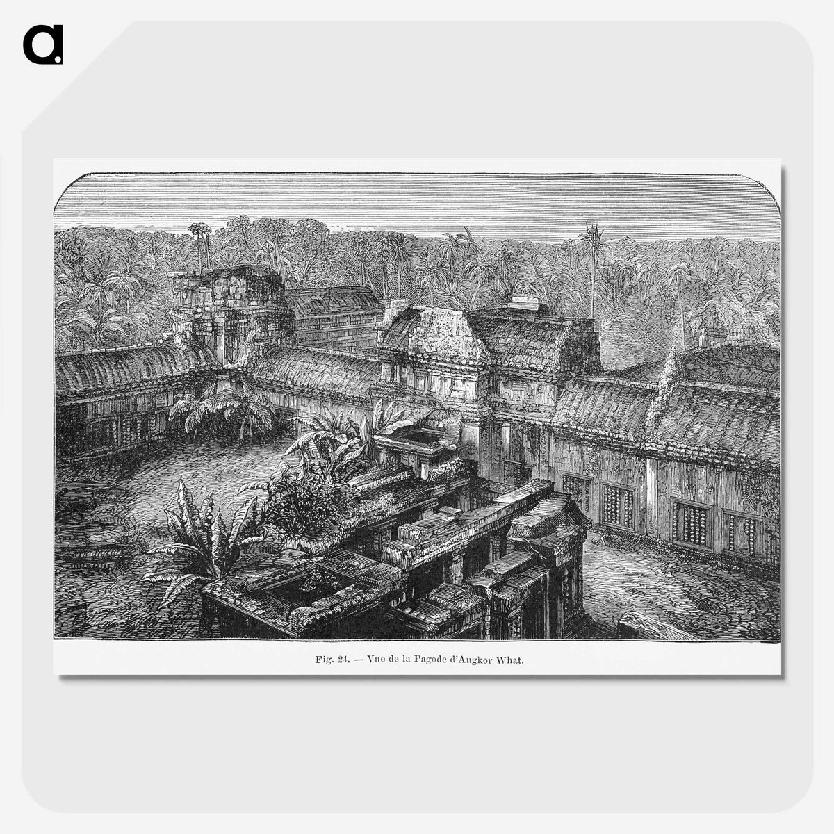 2-17_Les-Palmiers-Histoire-Iconographique_picture-crop