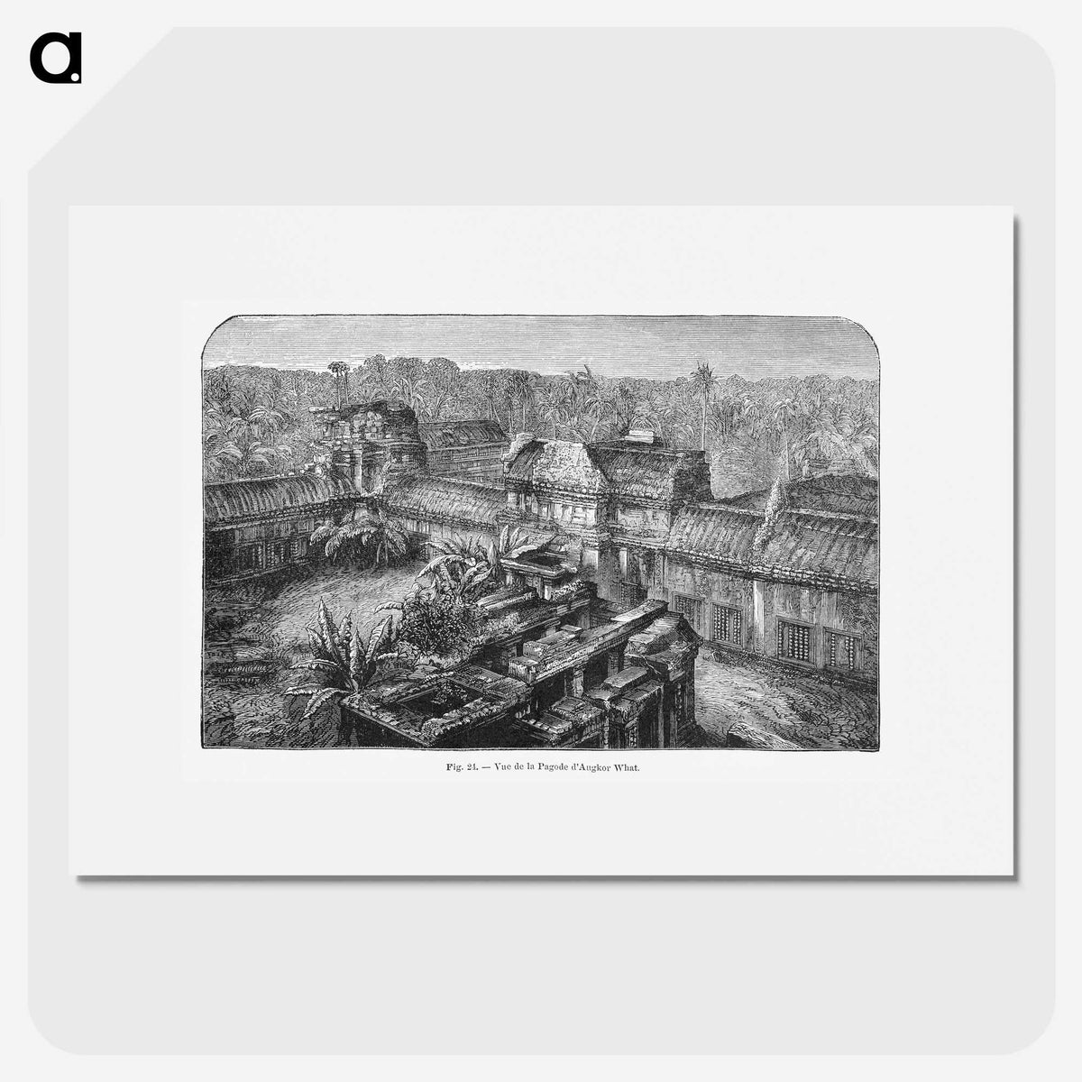 2-17_Les-Palmiers-Histoire-Iconographique_picture