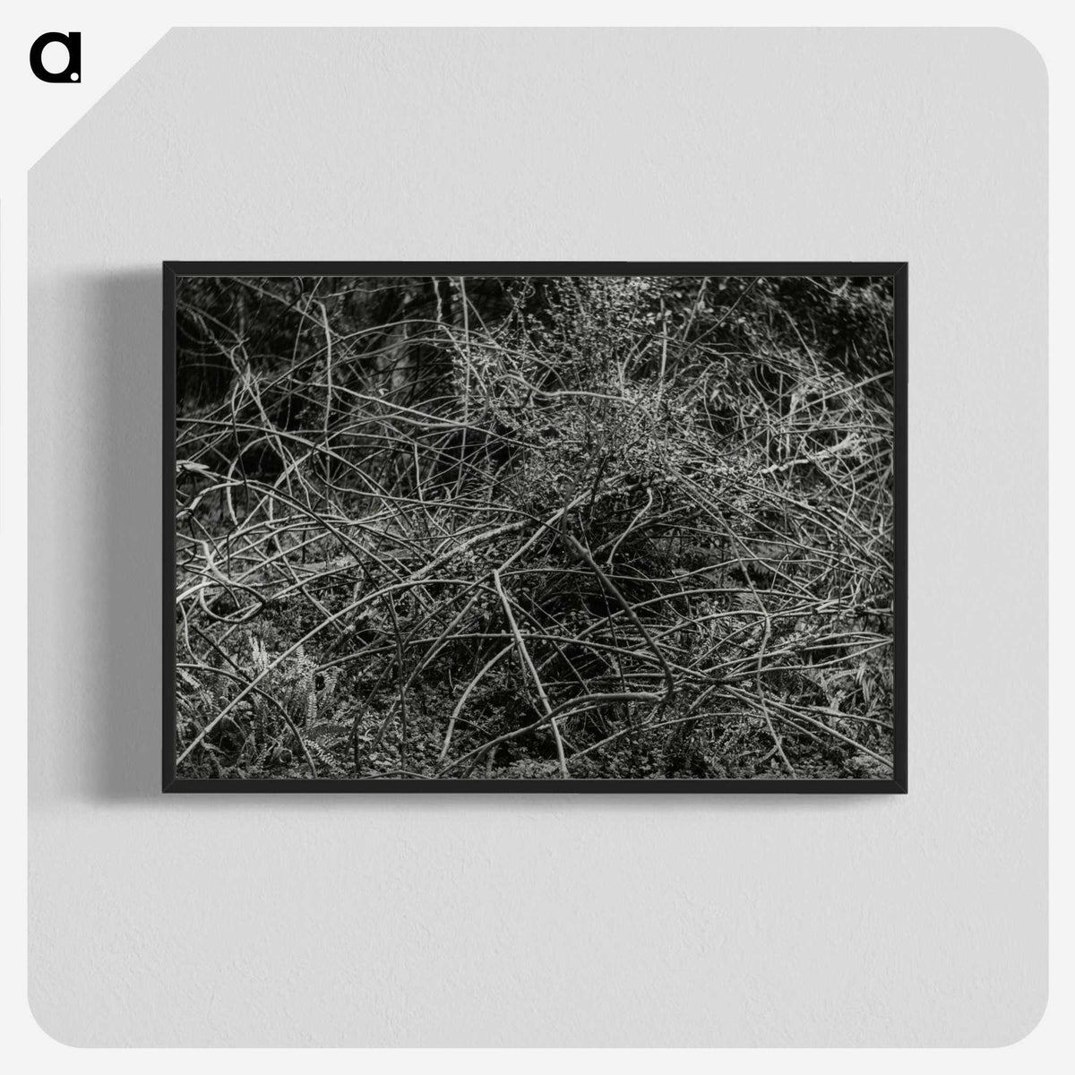 2-17_Leslie-Adkin_blk-crop