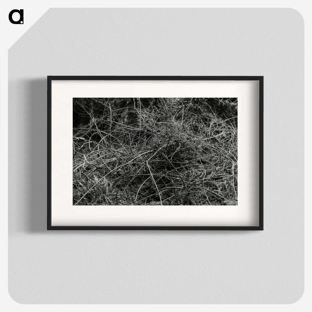 2-17_Leslie-Adkin_blk