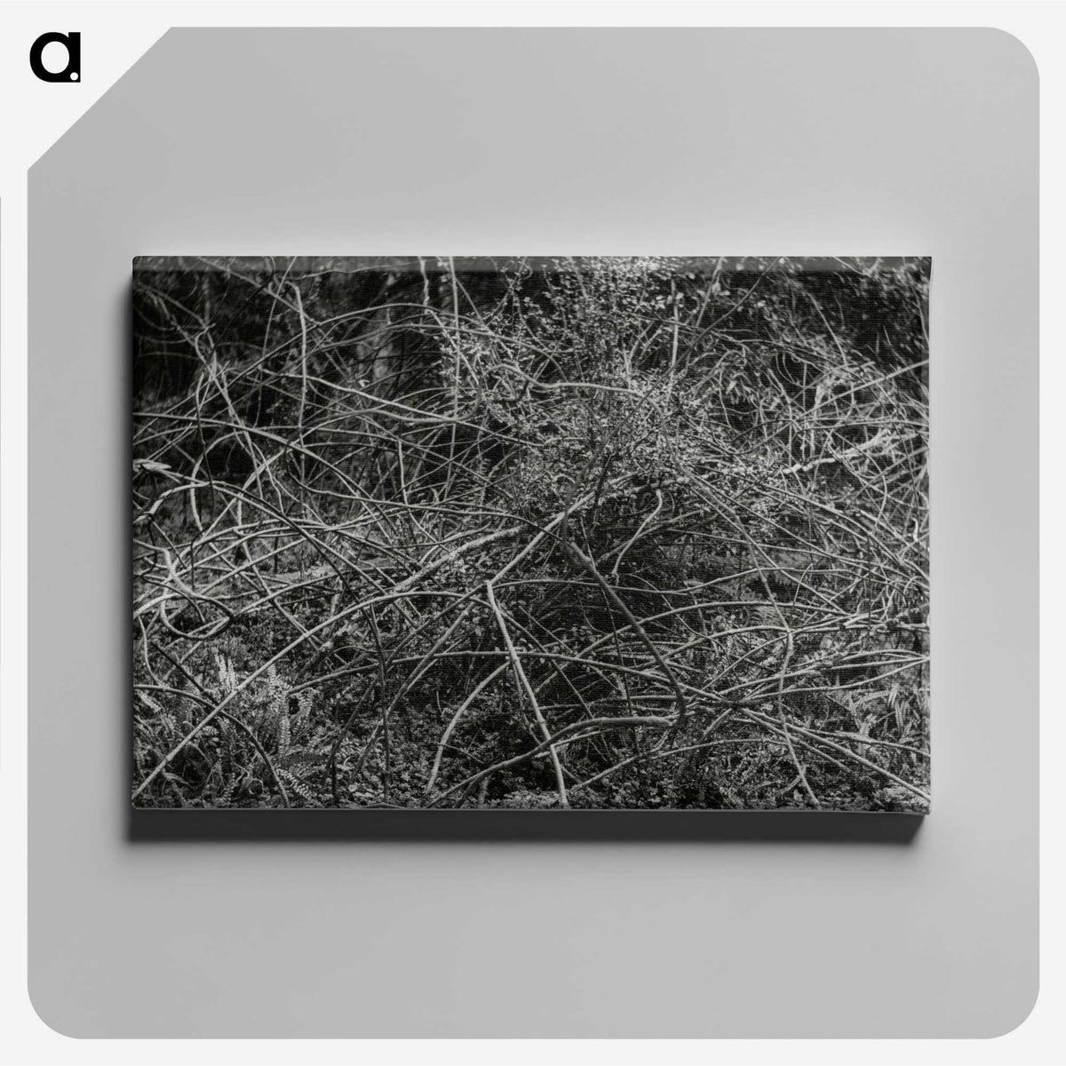 2-17_Leslie-Adkin_canvas