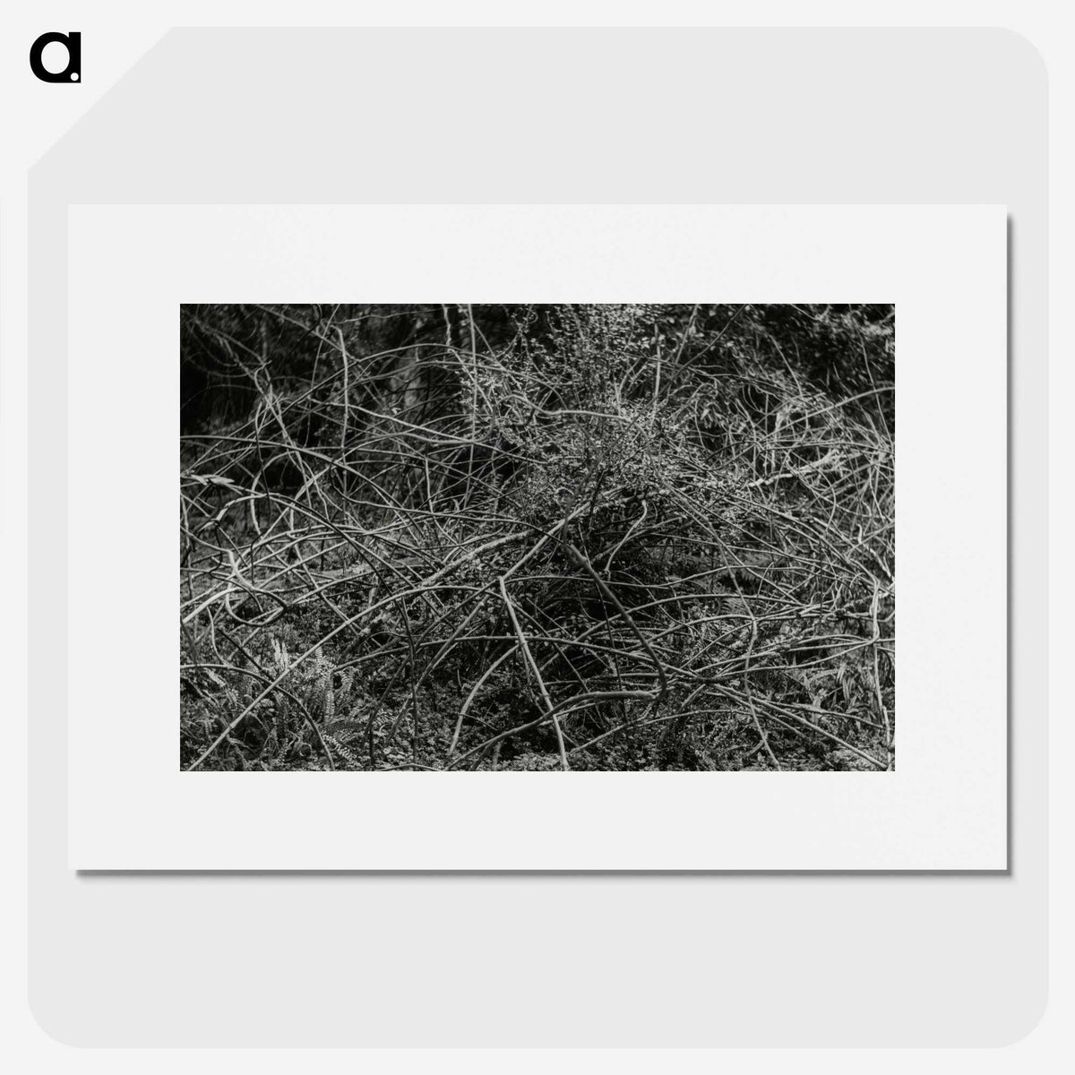 2-17_Leslie-Adkin_picture