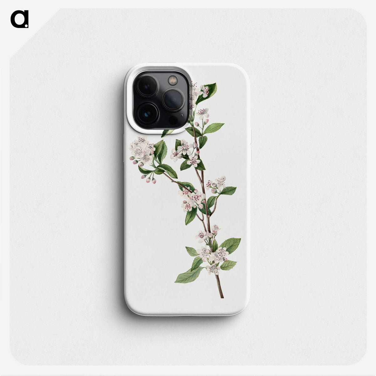 2-17_Mary-Vaux-Walcott_phone