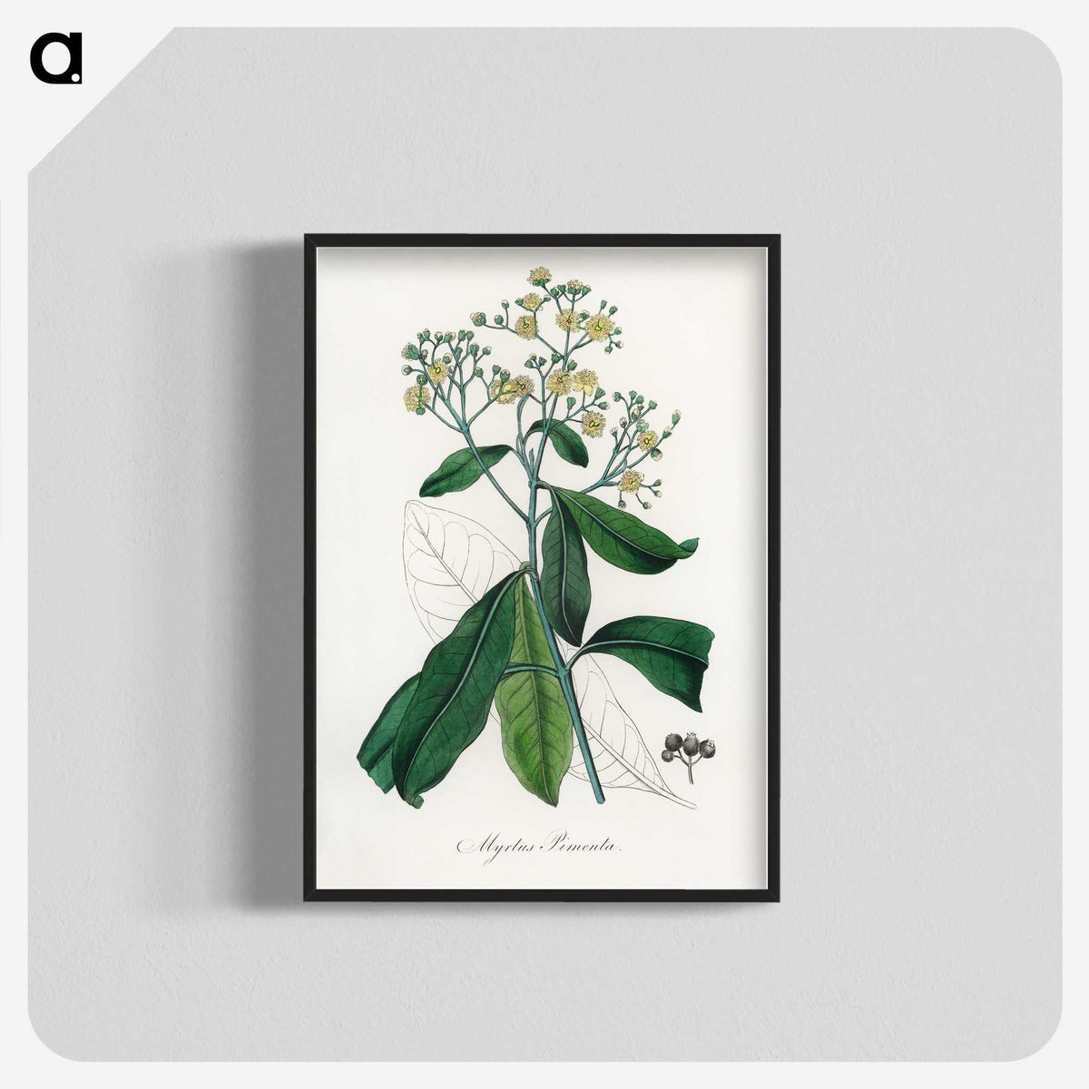 2-17_Medical-Botany_blk-crop
