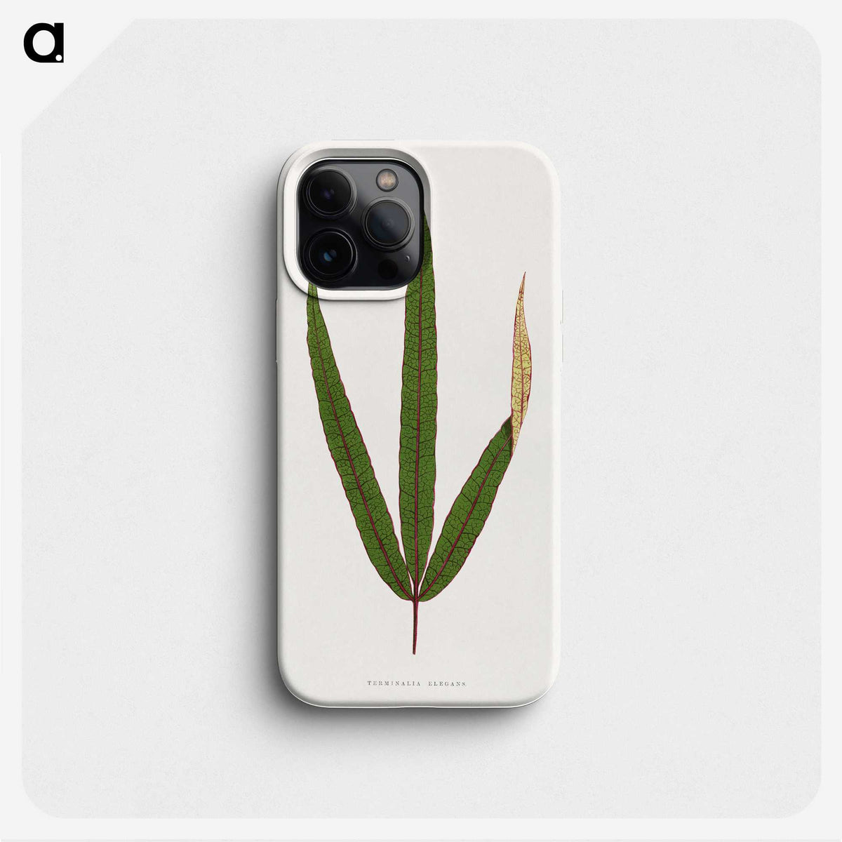 2-17_Plants-with-Colored-Foliage_phone