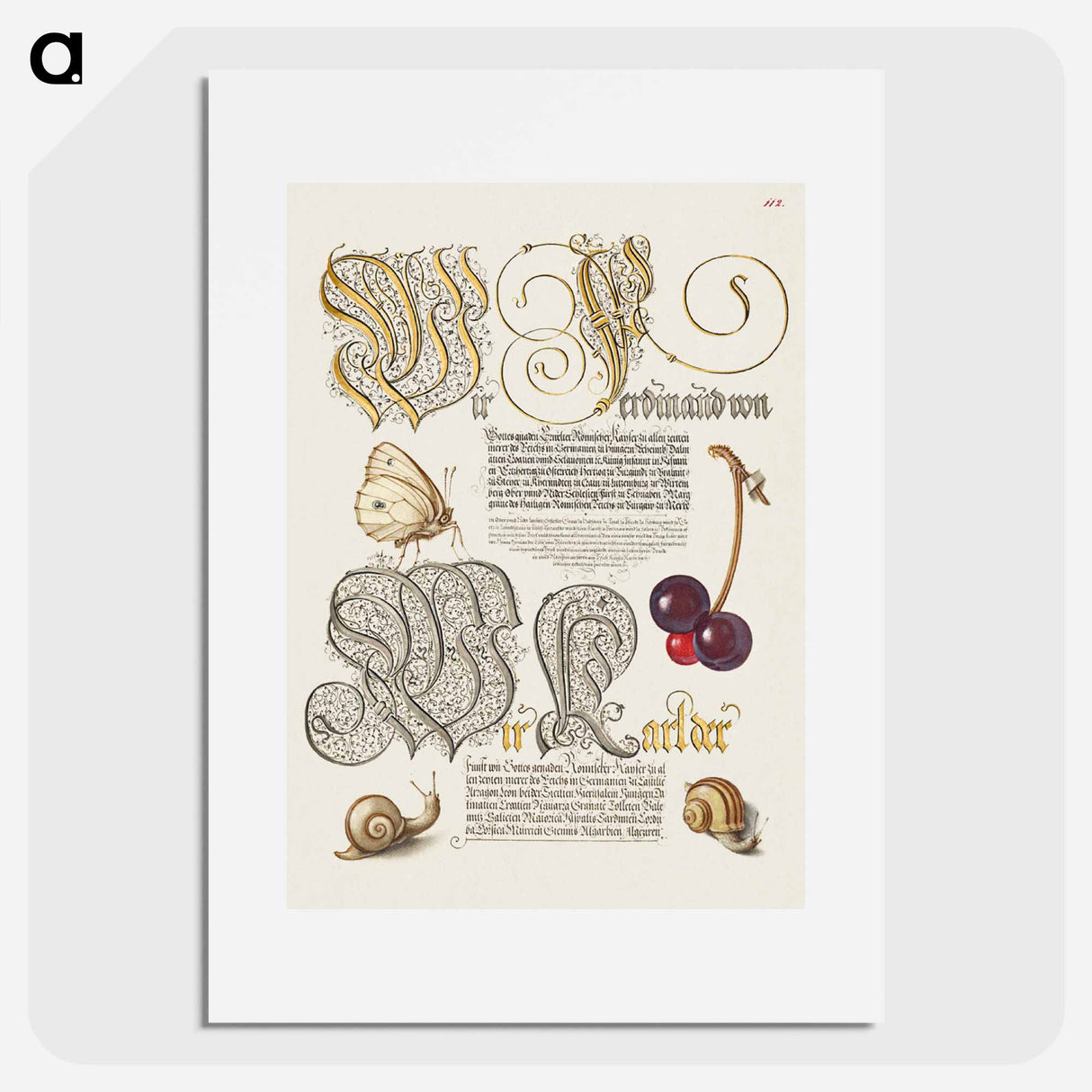 アートポスター-Butterfly, Sweet Cherry, and Land Snails from Mira Calligraphiae Monumenta
- 書道のお手本 Poster.