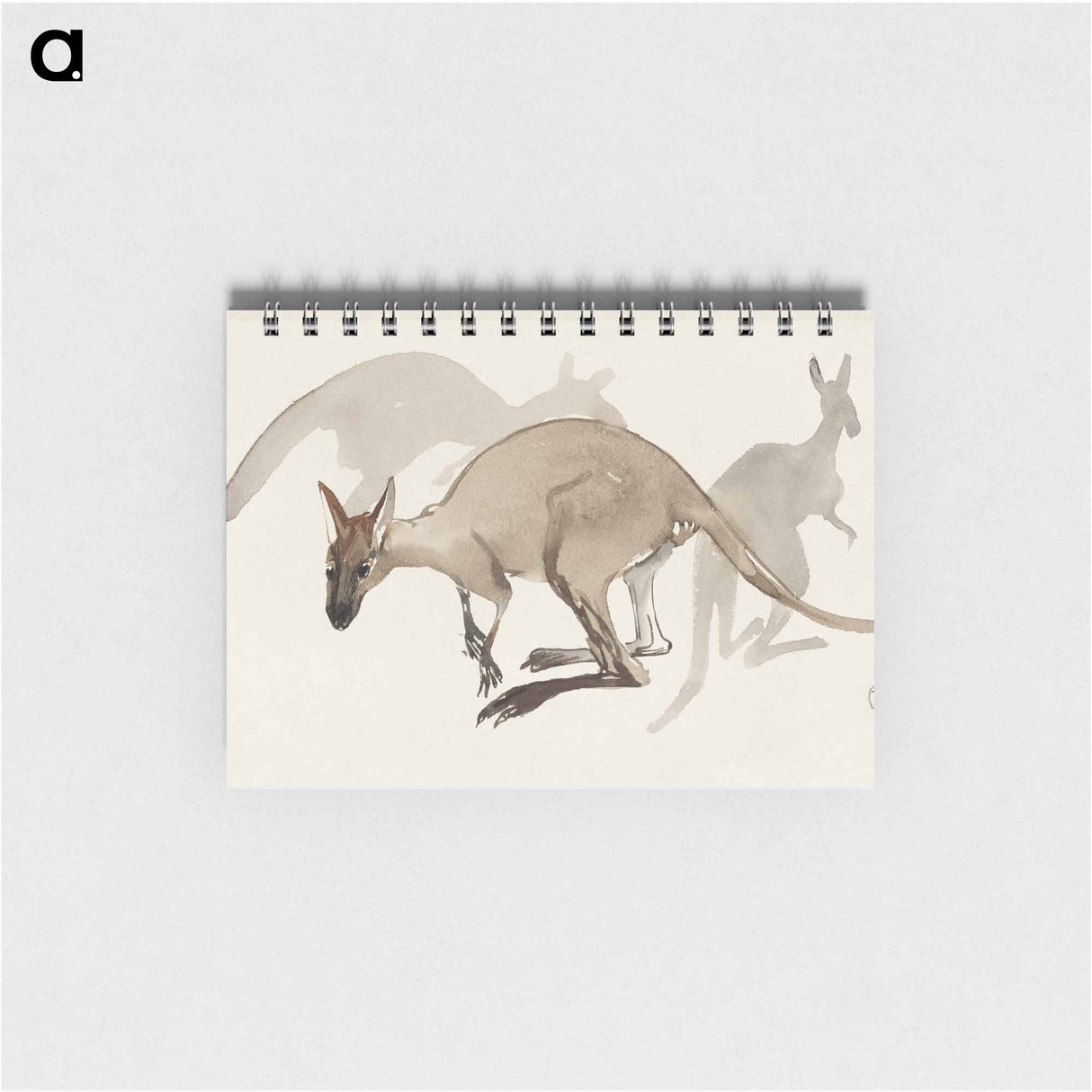 Kangoeroes - テオ ヴァン ホイテマ Memo.