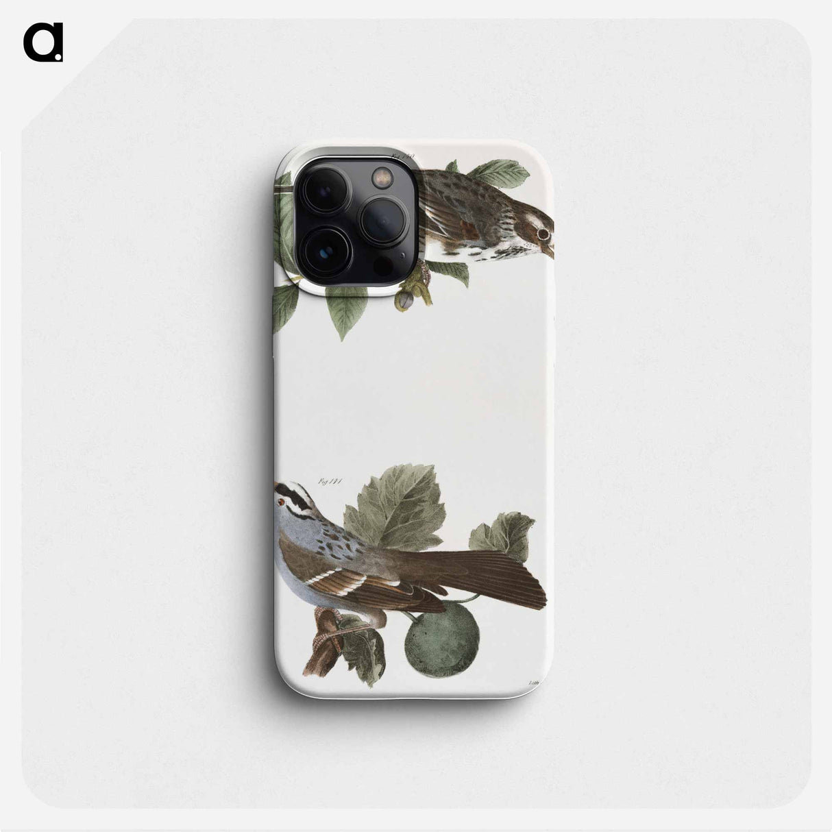 The Bay-winged Sparrow (Fringilla graminea) The White-throated Sparrow (Fringilla pensylvanica) illustration from Zoology of New York by - Zoology of New York Phone Case.