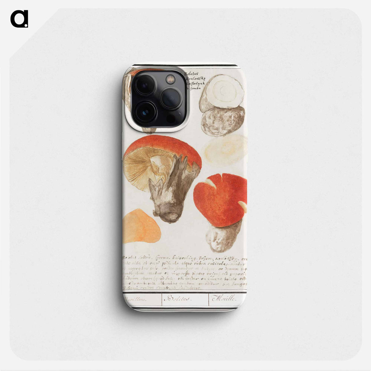 Boleten, Boletales - アンセルムス ボエティウス デ ブート Phone Case.