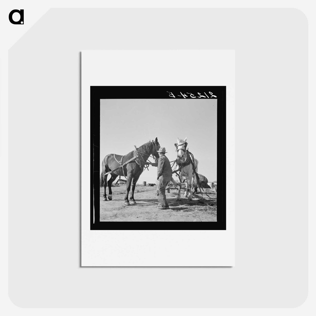 2-18_Dorothea-Lange_hagaki