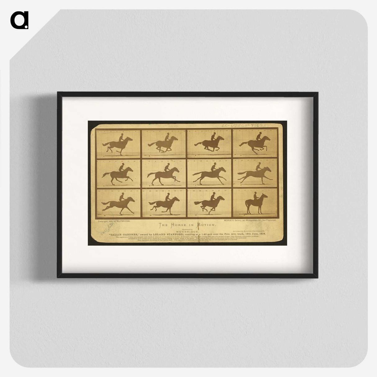 2-18_Eadweard-Muybridge_blk